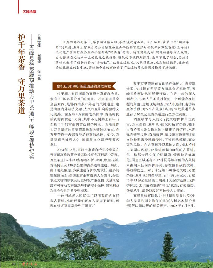 《护千年茶香 守万里茶道》被《楚天法治》采用