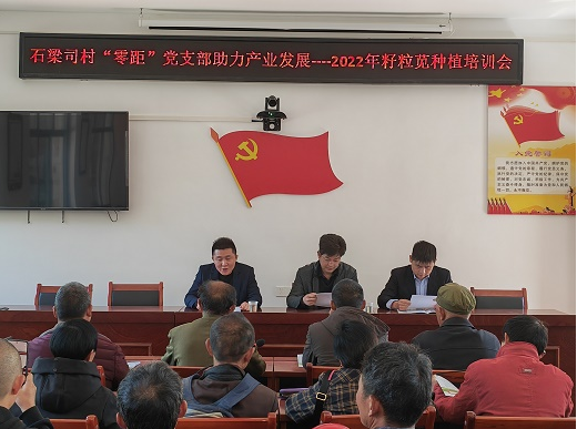 组织开展籽粒苋种植培训，在为农服务中寻找新的经济增长点