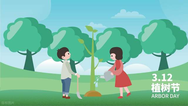 3.12植树节｜除了种树，这些法律也要“种”进心里！